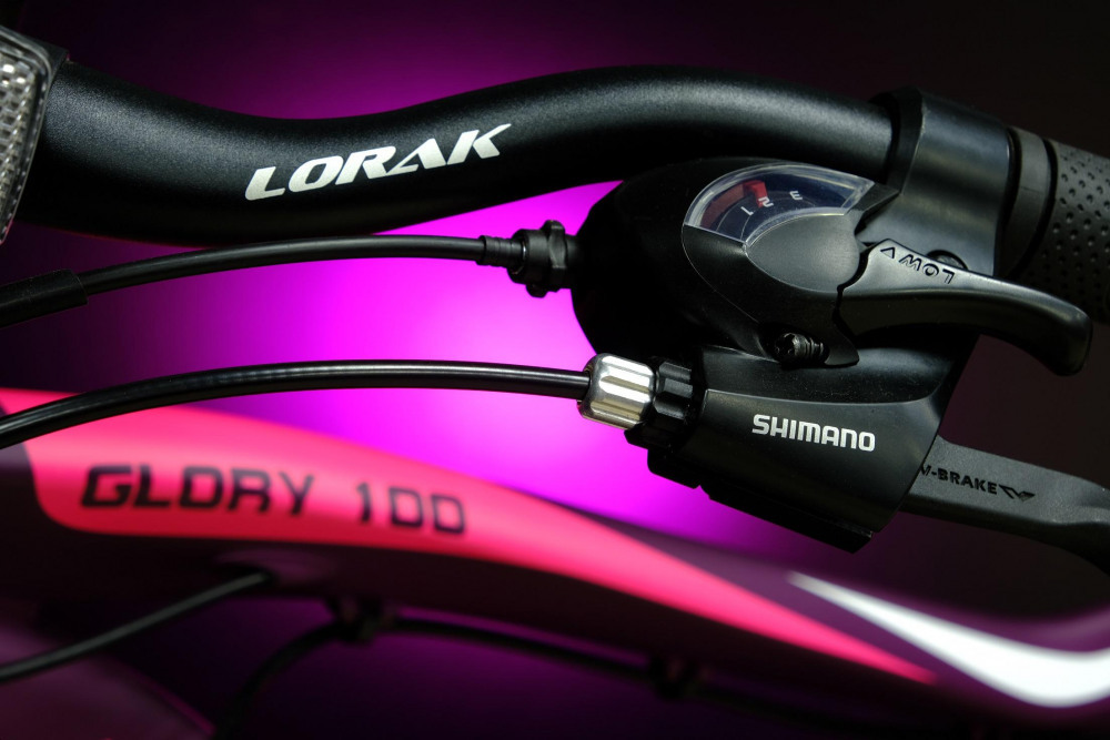 Lorak Glory 100 Матовый Фиолетовый/Розовый рама 19 (на рост 171-182)