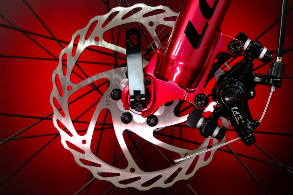 LORAK SHARK 26 GOLD Золотой красный