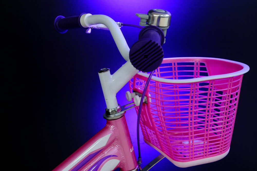 LORAK JUNIOR 20 Girl Doll Розовый/Фиолетовый